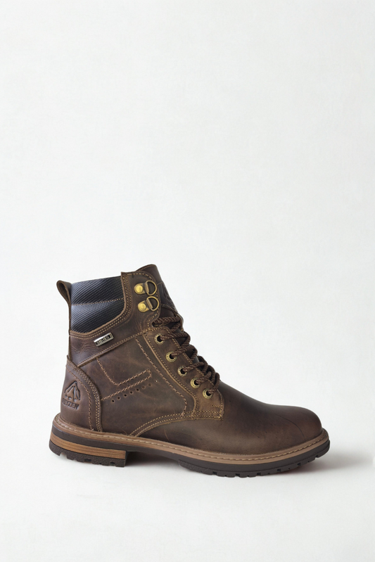 DAN TAUPE